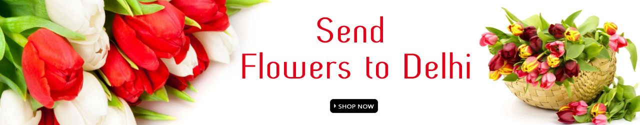 Send Flowers to DElhi