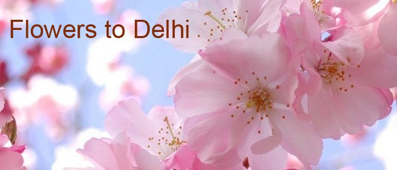 Flower to Delhi