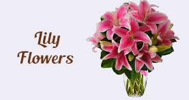 Send Flowers and Lily Bouquet