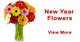 New Year Flowers to Aligarh
