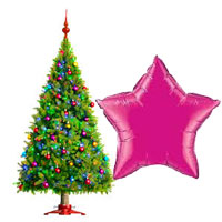 Christmas Tree to Delhi - Teddy Day
